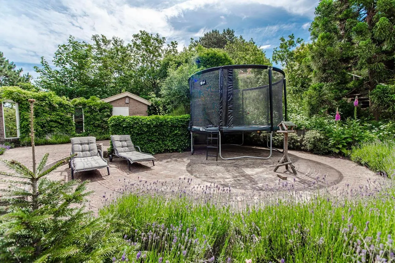 Luxury Dune Villa With Private Wellness Area Zandvoort